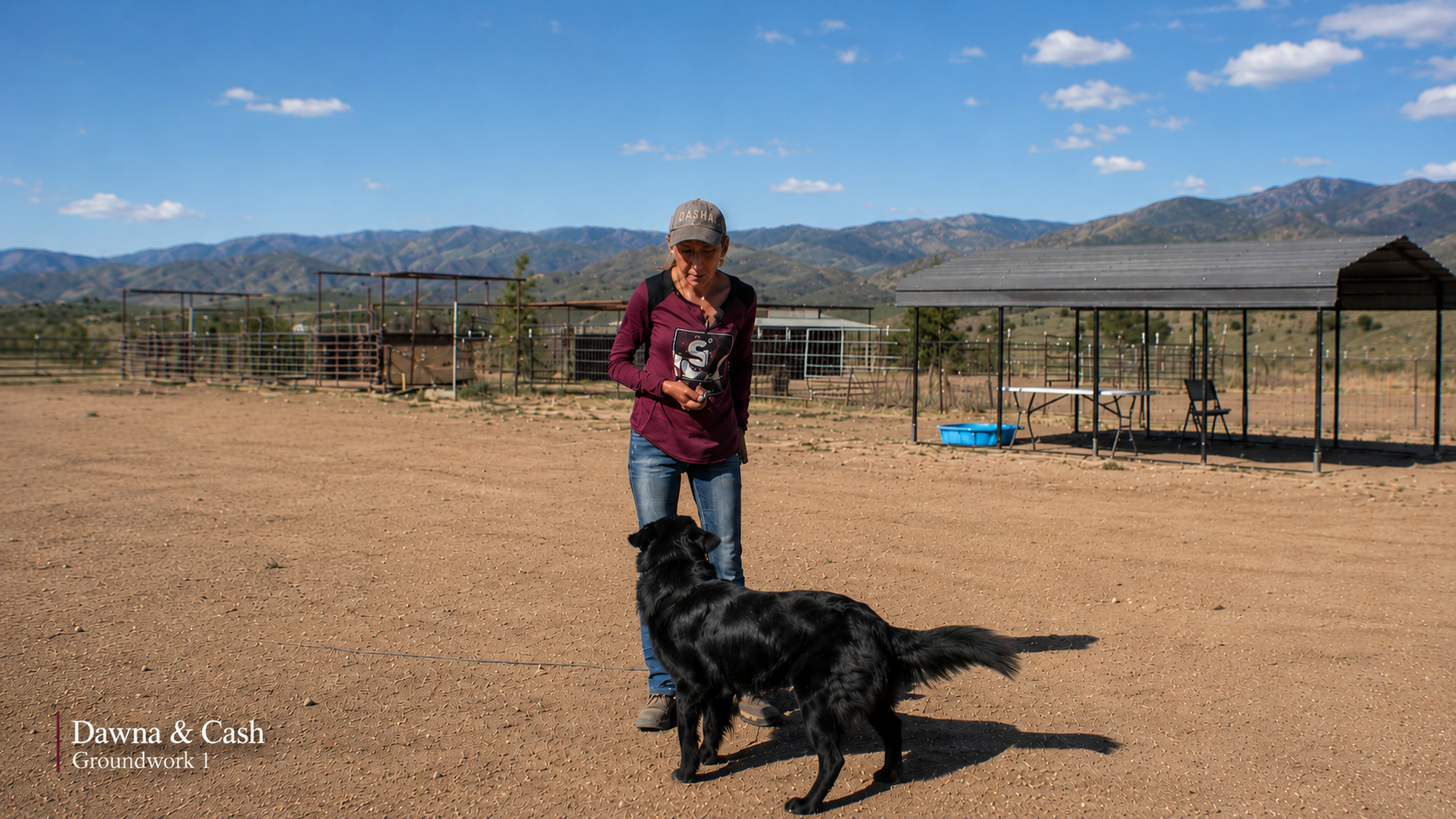 Dawna Sims working with Cash during PSR groundwork training.
